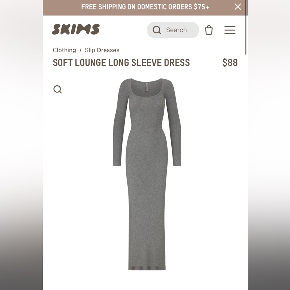 Skims dress
